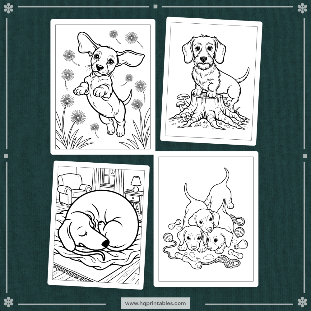 A printable adult coloring page featuring a Dachshund wiener dog portrait.