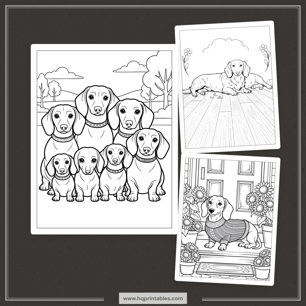 A printable adult coloring page featuring a Dachshund wiener dog portrait.