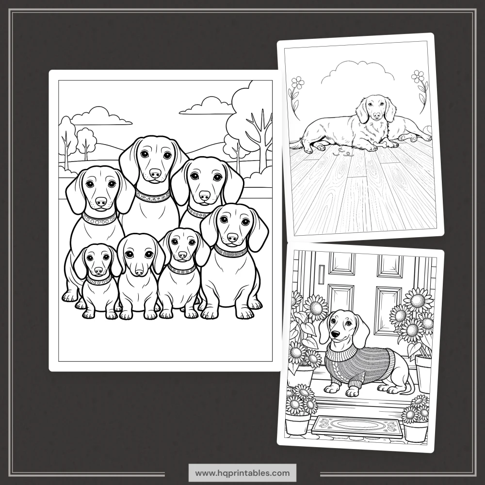 A printable adult coloring page featuring a Dachshund wiener dog portrait.