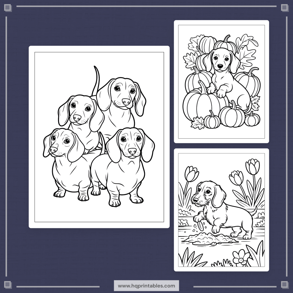 A printable adult coloring page featuring a Dachshund wiener dog portrait.