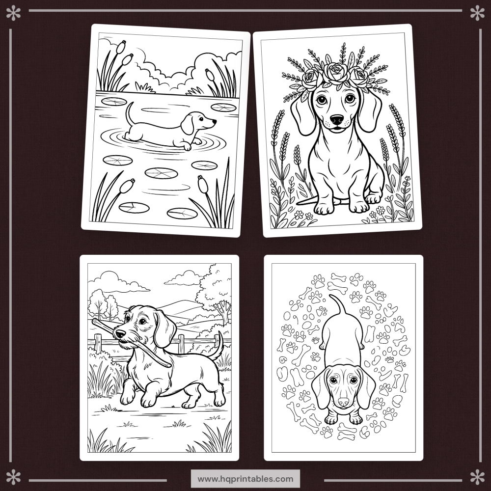 A printable adult coloring page featuring a Dachshund wiener dog portrait.