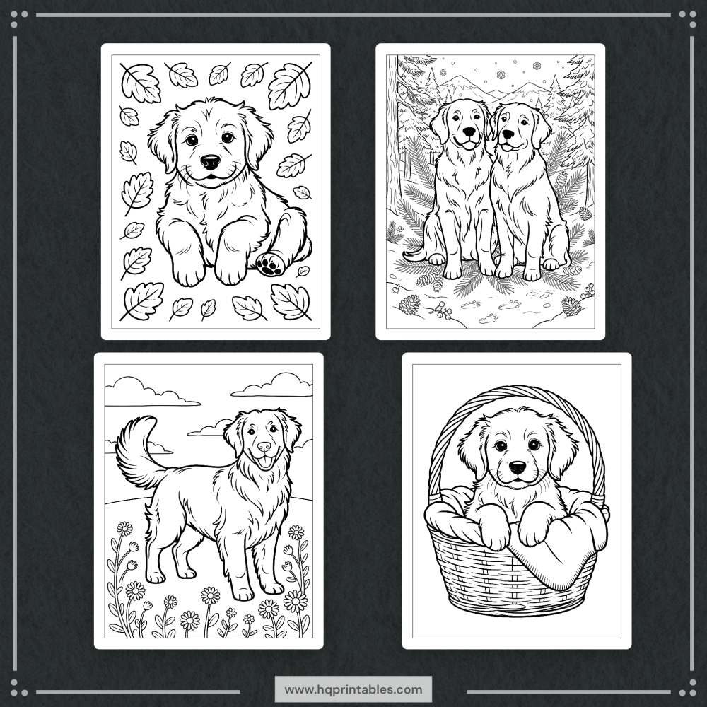A printable adult coloring page featuring a realistic portrait of a Golden Retriever.