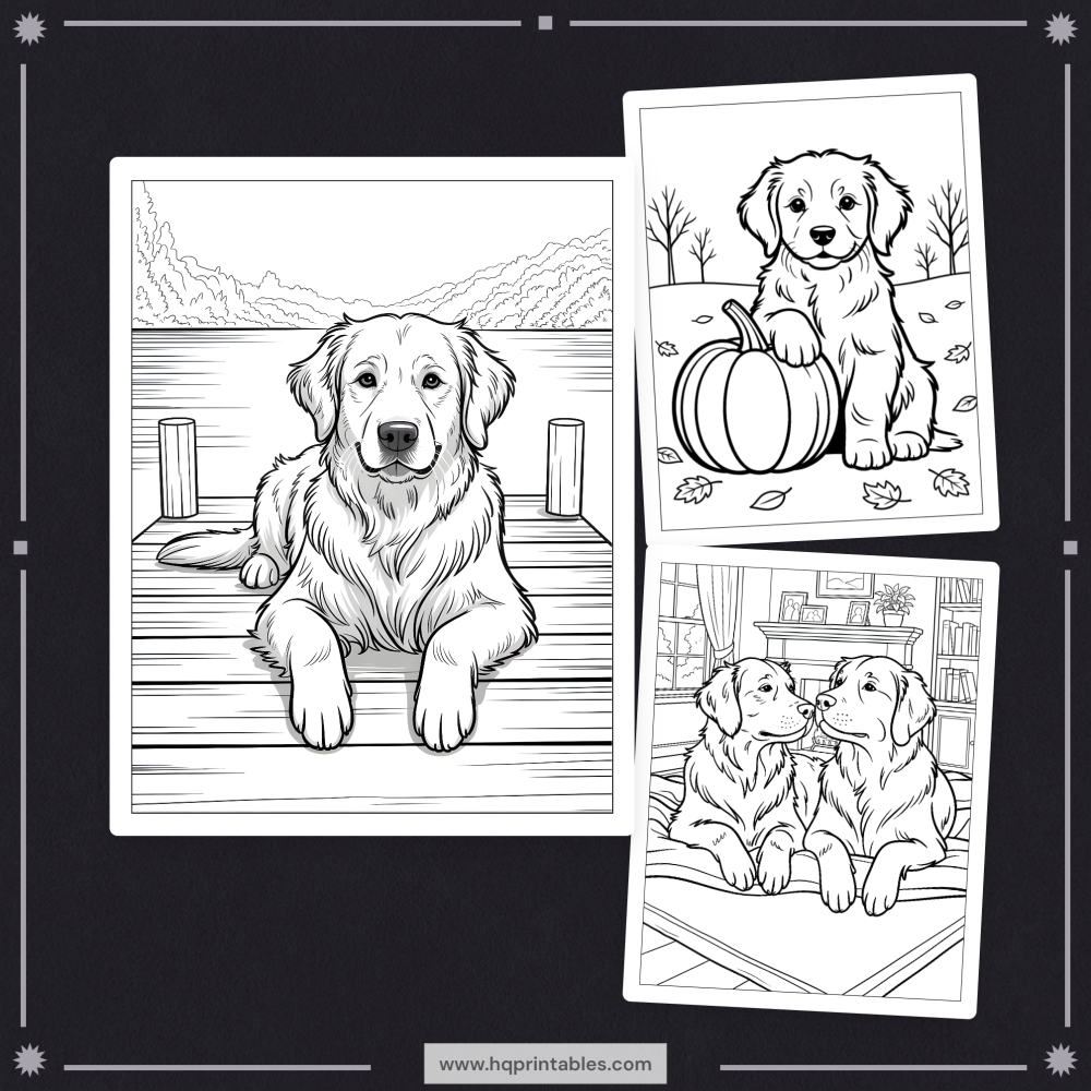 A printable adult coloring page featuring a realistic portrait of a Golden Retriever.