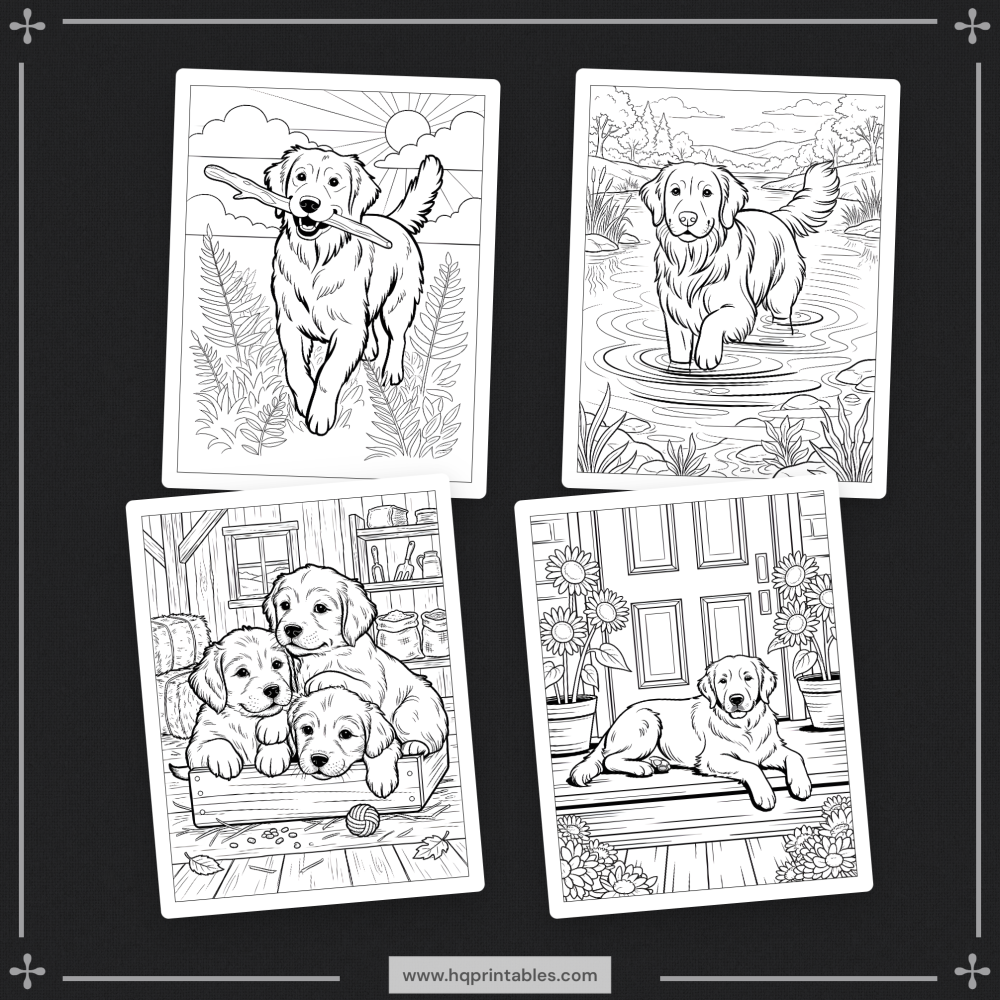 A printable adult coloring page featuring a realistic portrait of a Golden Retriever.