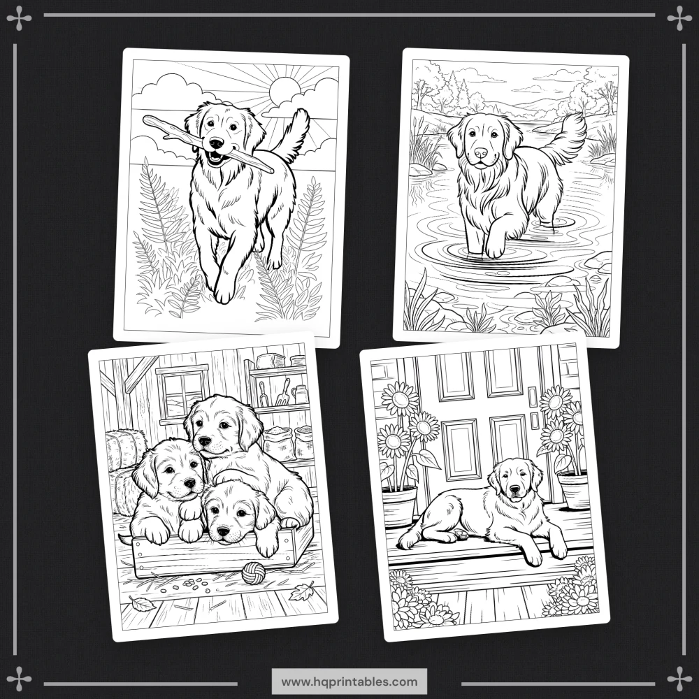 A printable adult coloring page featuring a realistic portrait of a Golden Retriever.
