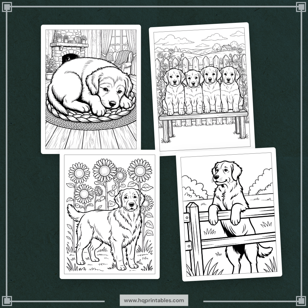 A printable adult coloring page featuring a realistic portrait of a Golden Retriever.