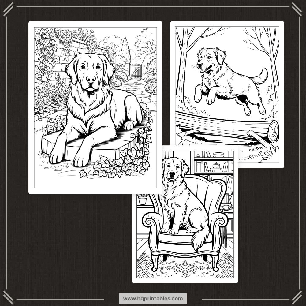 A printable adult coloring page featuring a realistic portrait of a Golden Retriever.