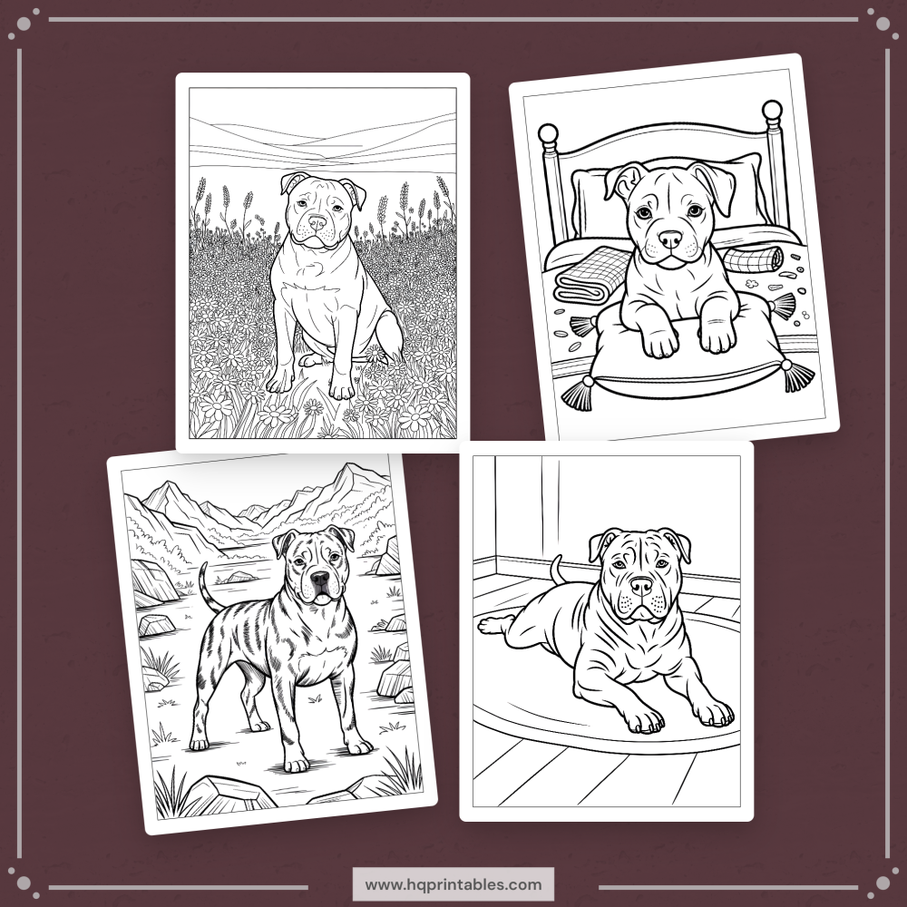 A printable adult coloring page featuring a realistic portrait of a Pitbull dog.
