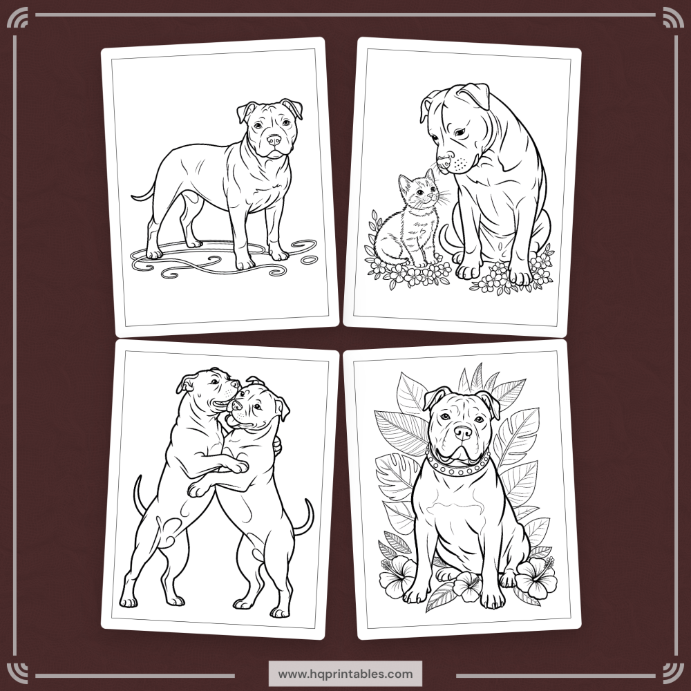 A printable adult coloring page featuring a realistic portrait of a Pitbull dog.