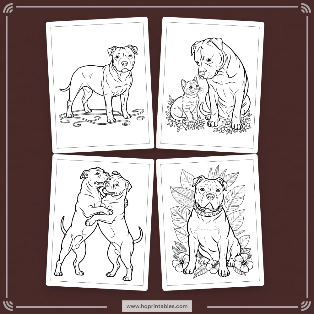 A printable adult coloring page featuring a realistic portrait of a Pitbull dog.