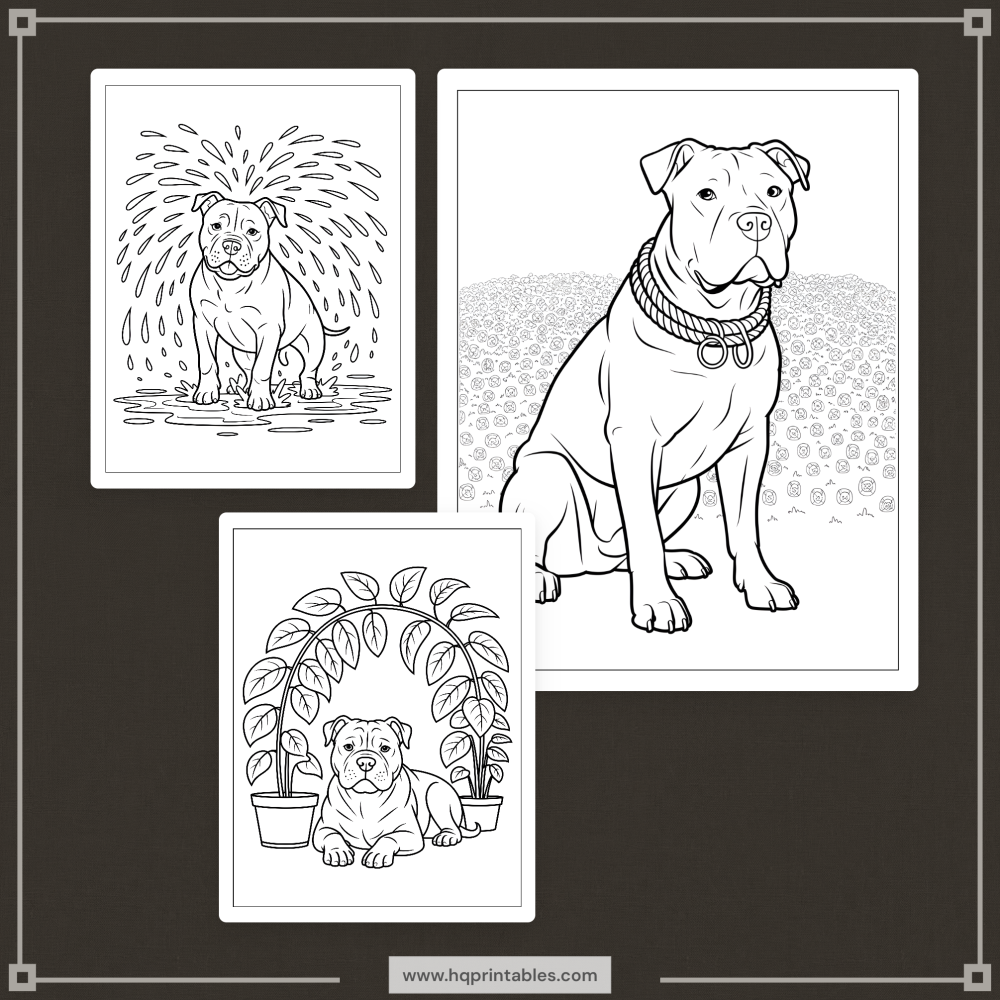 A printable adult coloring page featuring a realistic portrait of a Pitbull dog.