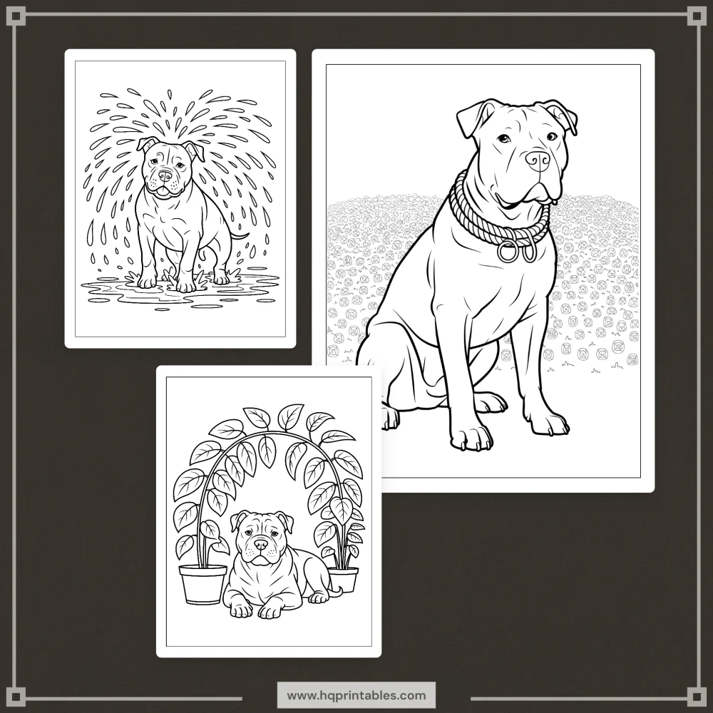 A printable adult coloring page featuring a realistic portrait of a Pitbull dog.