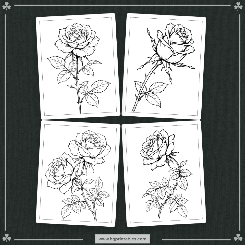 Rose coloring book for adults featuring realistic garden roses and floral bouquet pages
