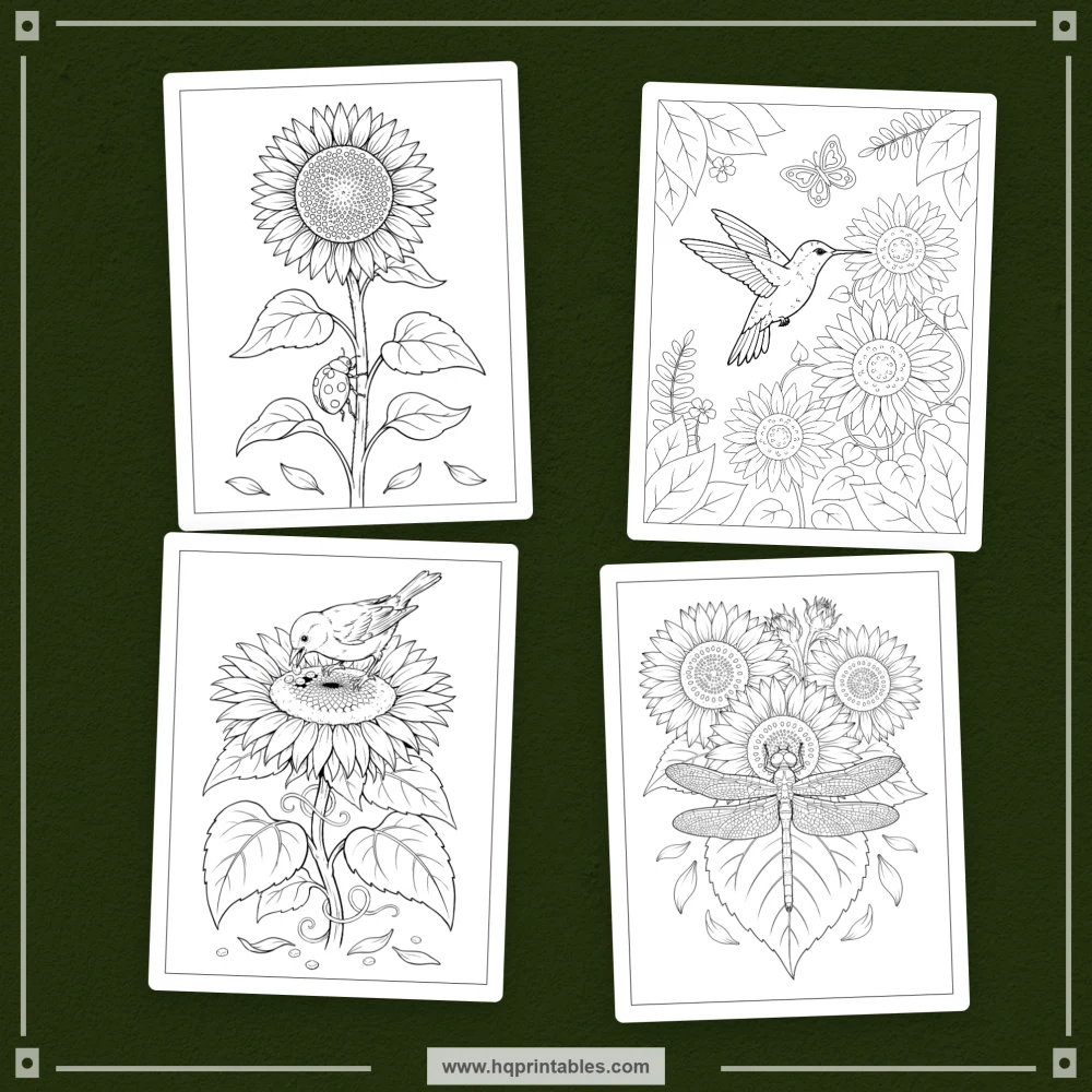 Sunflower coloring book for adults featuring botanical farmhouse flowers and printable pages