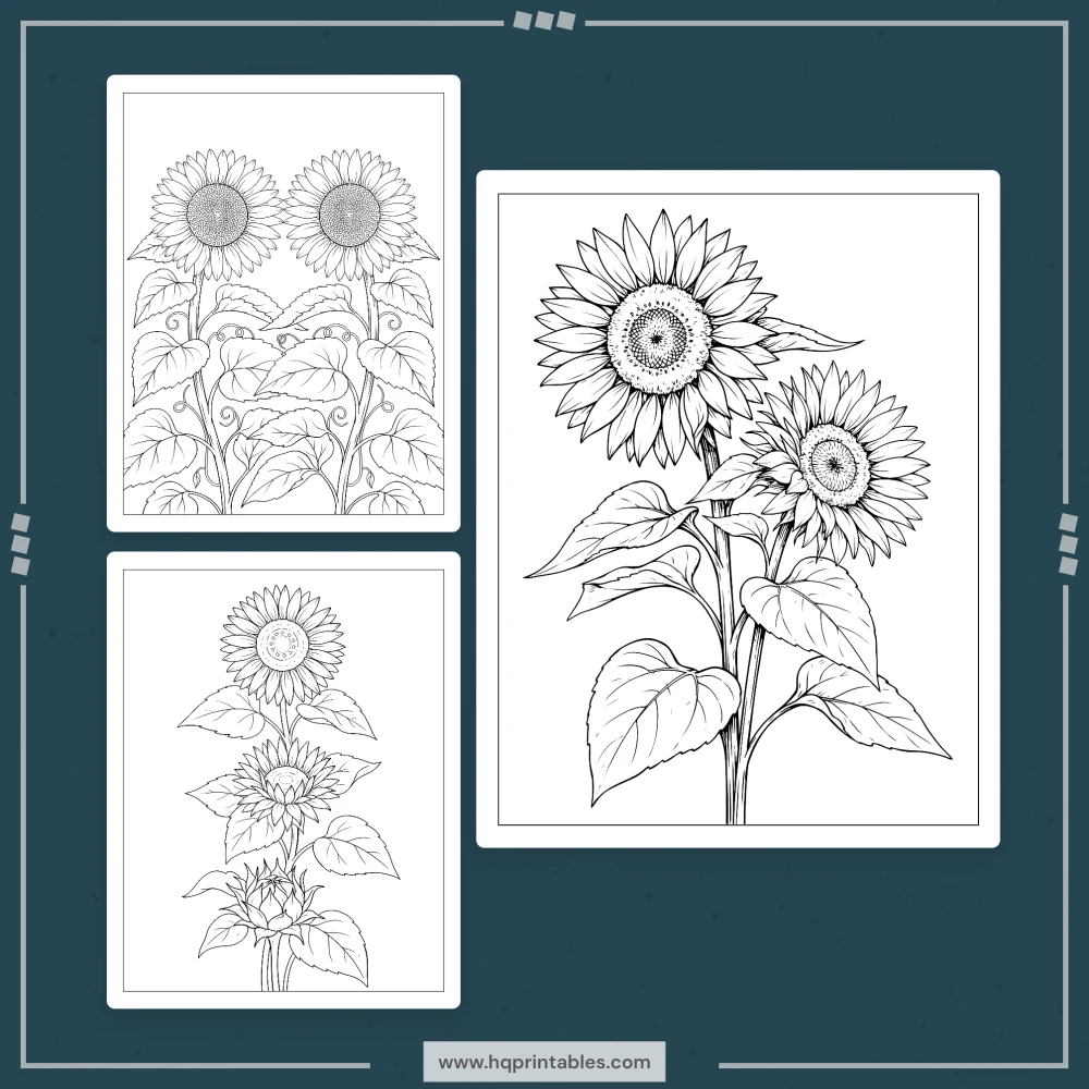 Sunflower coloring book for adults featuring botanical farmhouse flowers and printable pages