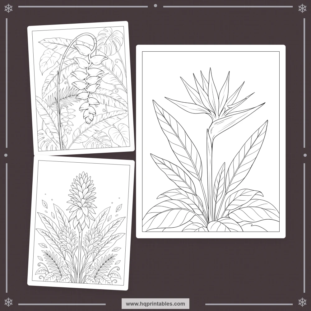 Tropical coloring book for adults with Hawaiian flowers, hibiscus, and paradise botanicals