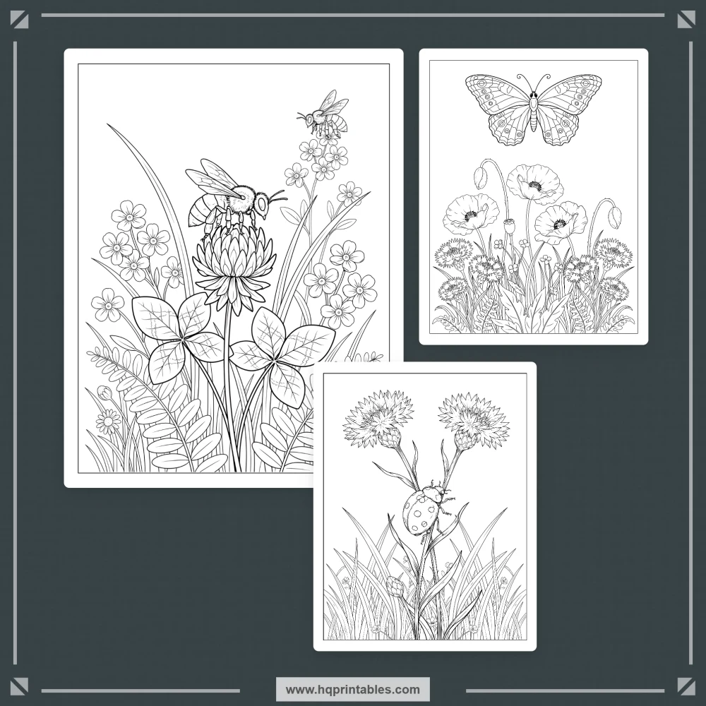 Wildflower coloring book for adults with printable botanical meadow flowers and floral pages